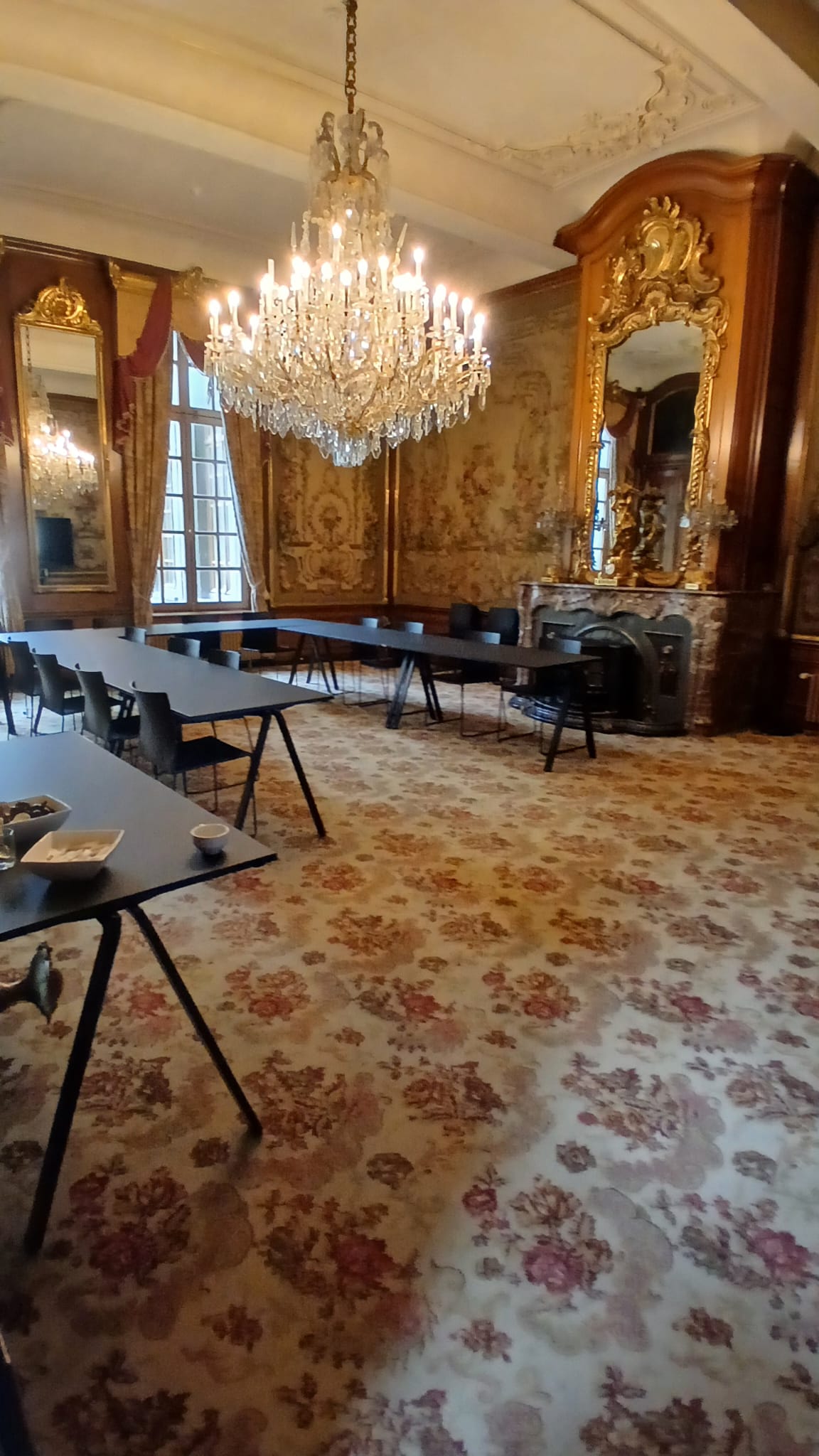 Reiniging en afstoffen van erfgoedtapijten